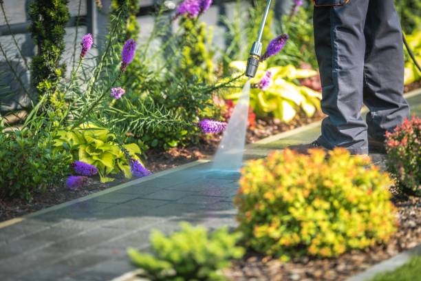 Reliable Oakwood, PA  Pressure Washing Services Solutions